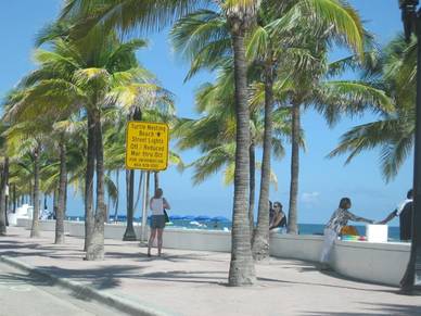 Englisch lernen im Sunshine State - Sprachreisen Fort Lauderdale, Florida